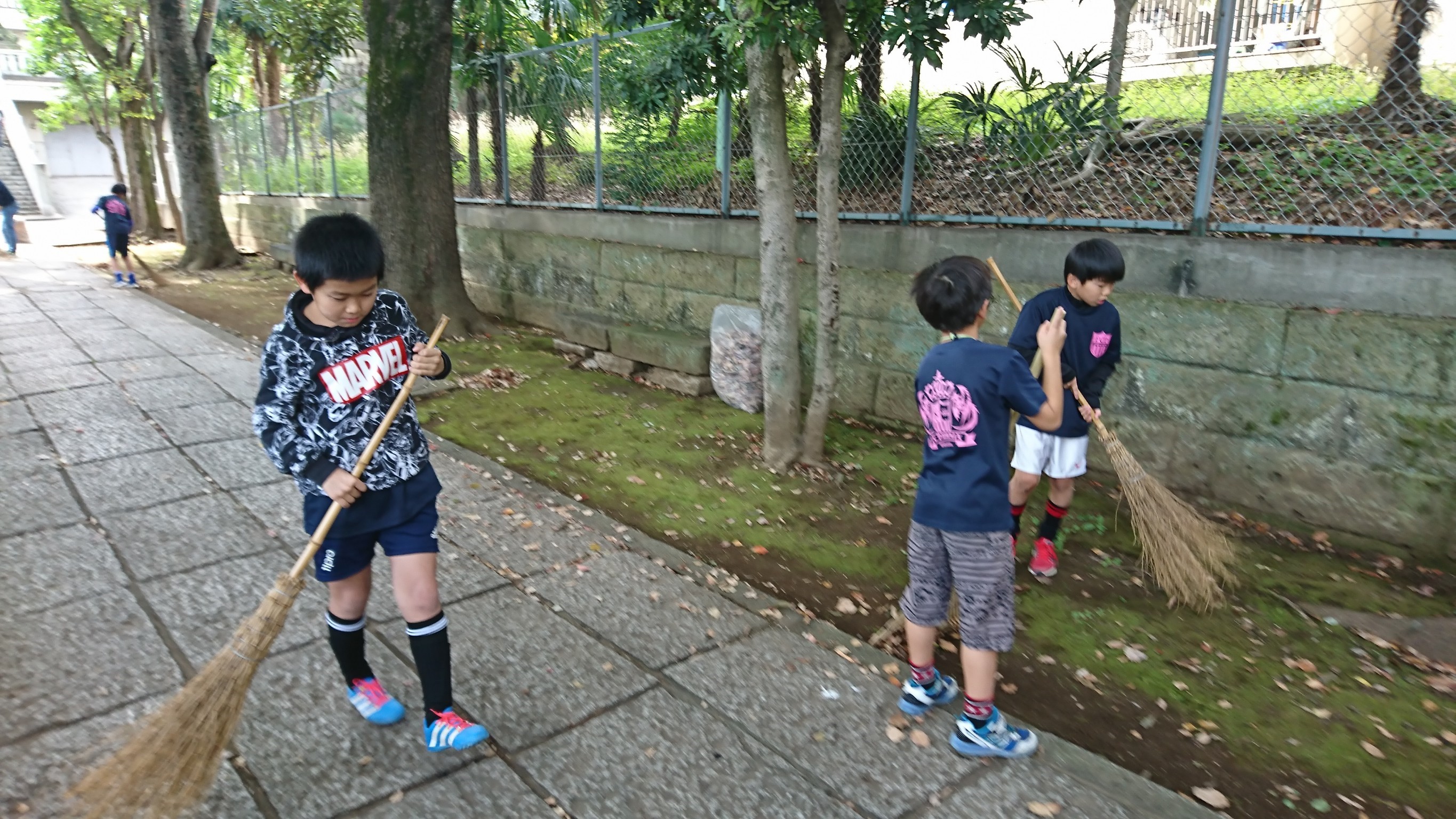 今月の清掃お手伝いは氷川神社さんにてフェニックスさんと かむろ坂さくらまつり